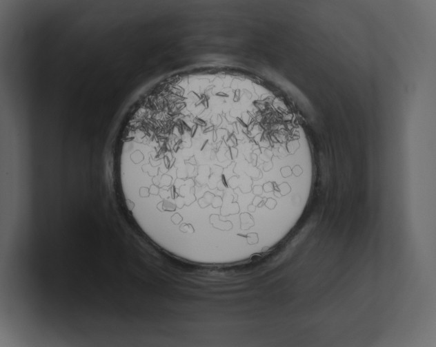 X0000100491318200807111114