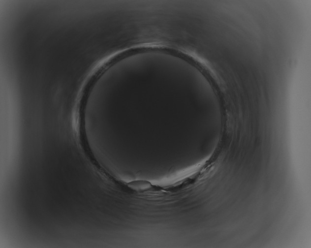 X0000100491319200807111114