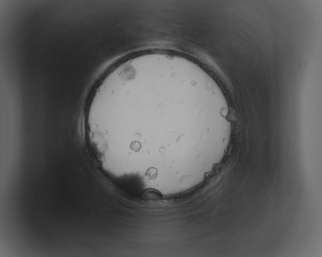 X0000100491320200807111114