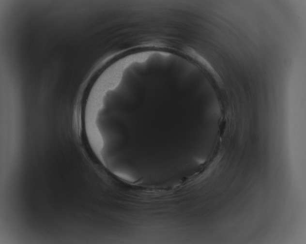 X0000100491323200807111114