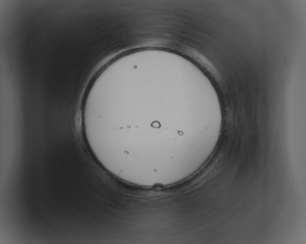 X0000100491324200807111114