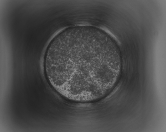 X0000100491325200807111114