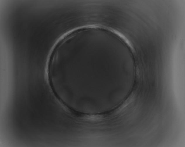 X0000100491327200807111114