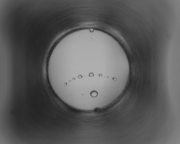 X0000100491328200807111114