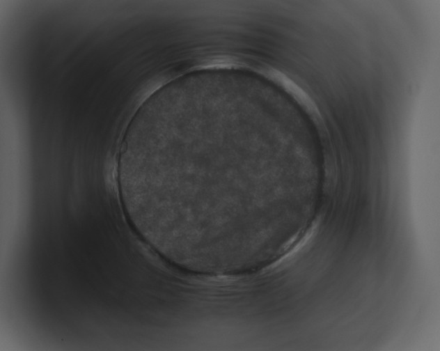 X0000100491329200807111114