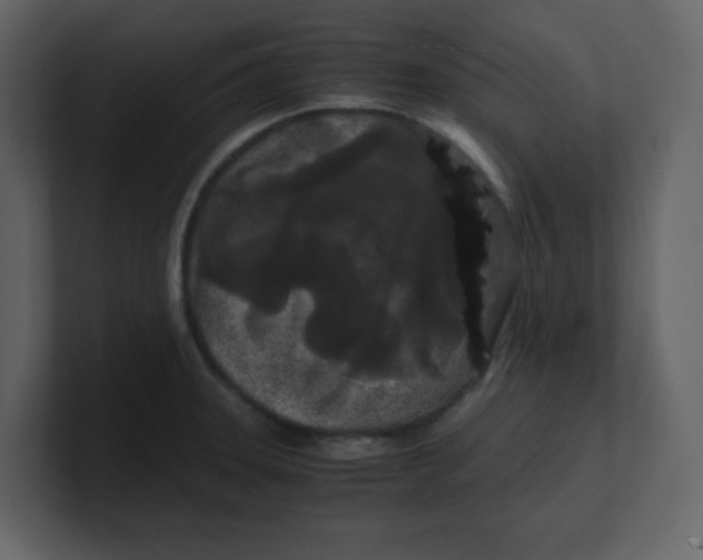 X0000100491331200807111114