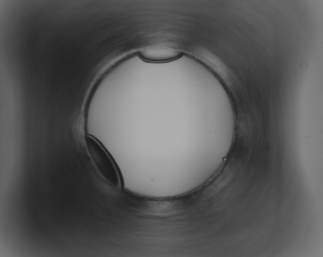 X0000100491332200807111114