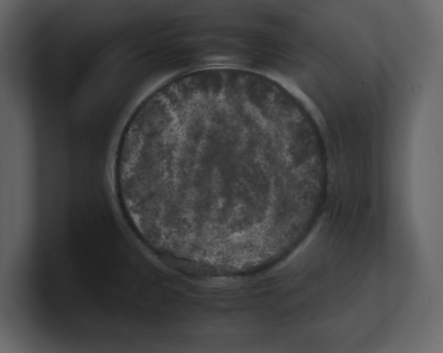 X0000100491333200807111114