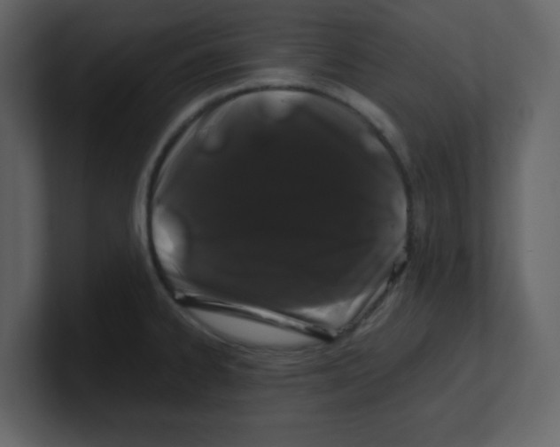 X0000100491334200807111114