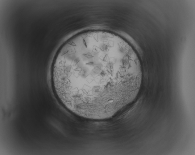 X0000100491335200807111114