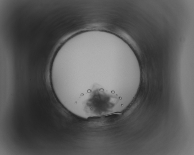 X0000100491336200807111114