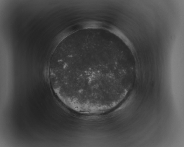 X0000100491337200807111114