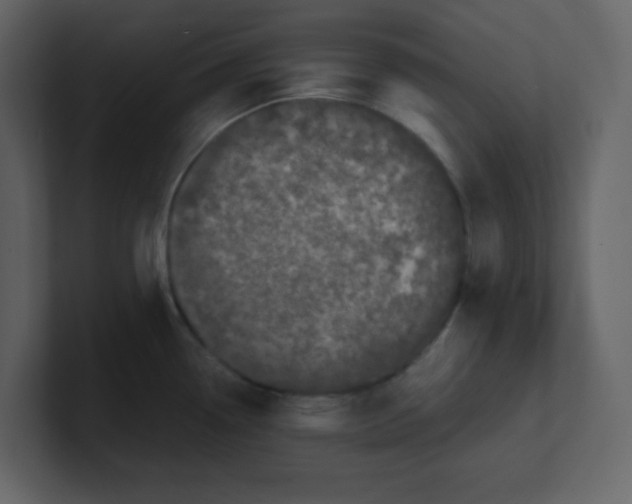 X0000100491338200807111114