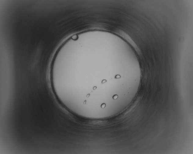X0000100491339200807111114