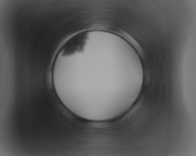 X0000100491340200807111114