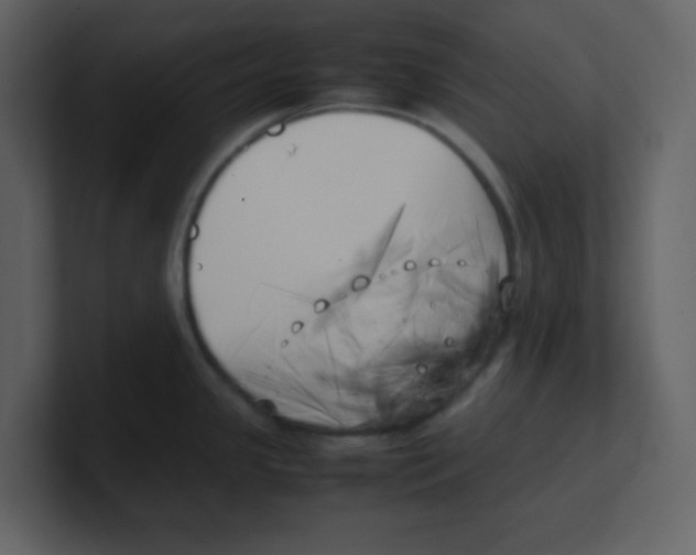 X0000100491341200807111114