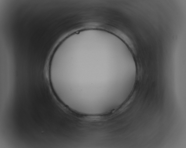 X0000100491342200807111114