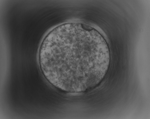 X0000100491344200807111114