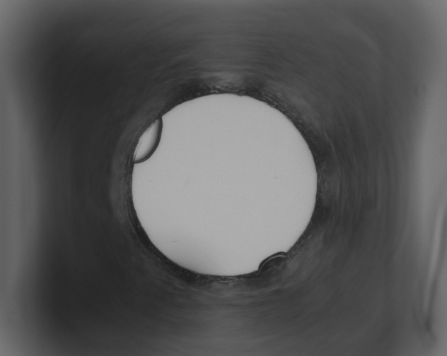 X0000100491345200807111114