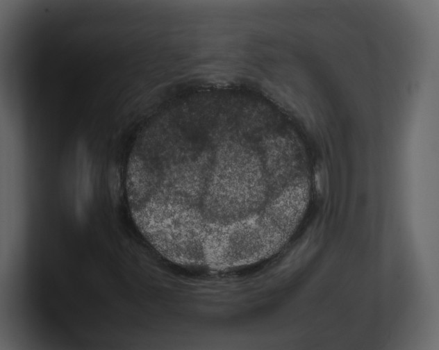 X0000100491347200807111114