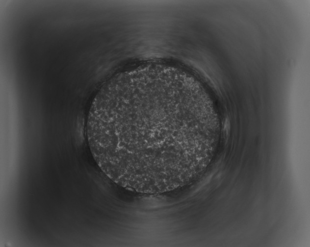 X0000100491348200807111114