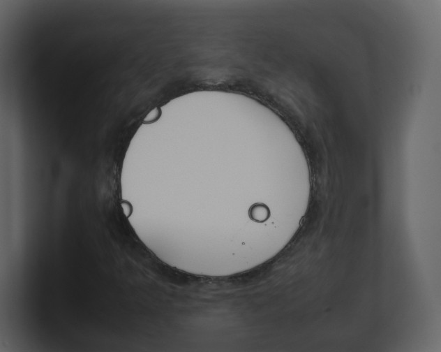 X0000100491349200807111114