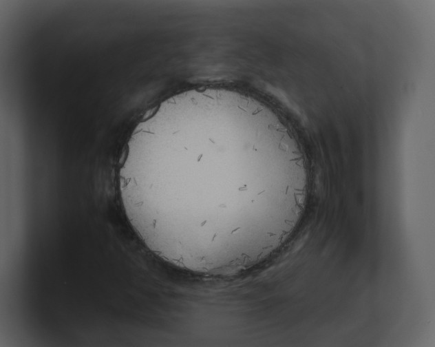 X0000100491350200807111114
