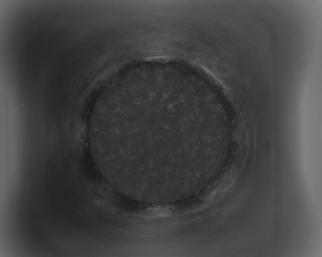 X0000100491351200807111114