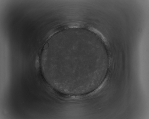 X0000100491353200807111114