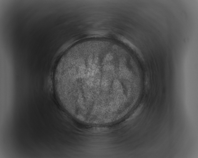 X0000100491354200807111114