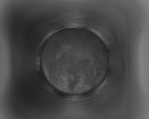 X0000100491355200807111114
