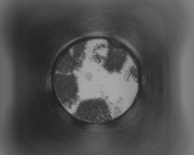 X0000100491356200807111114