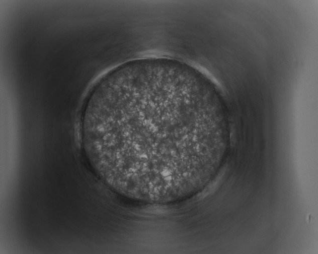 X0000100491358200807111113