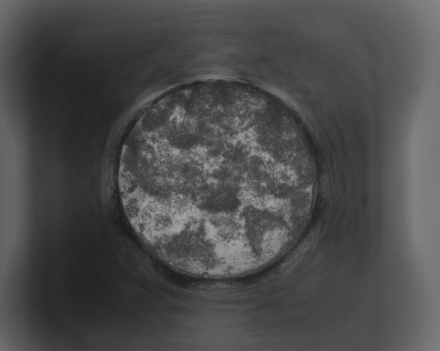 X0000100491359200807111113