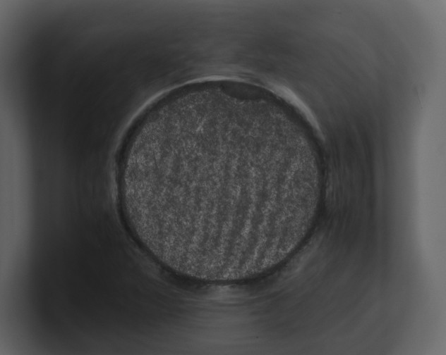 X0000100491360200807111113