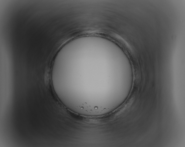 X0000100491361200807111113