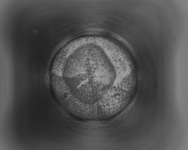 X0000100491362200807111113