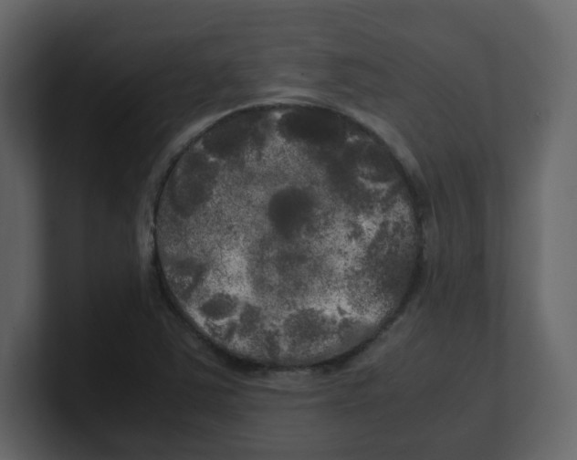 X0000100491363200807111113