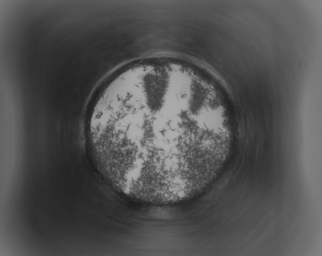 X0000100491364200807111113