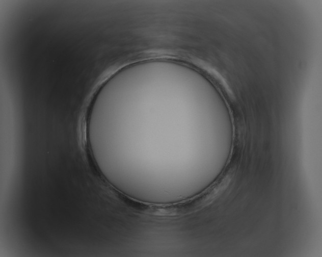 X0000100491365200807111113