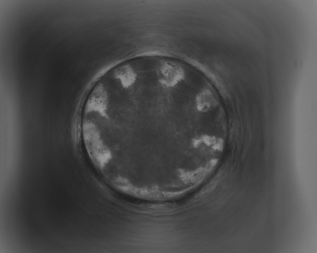 X0000100491367200807111113
