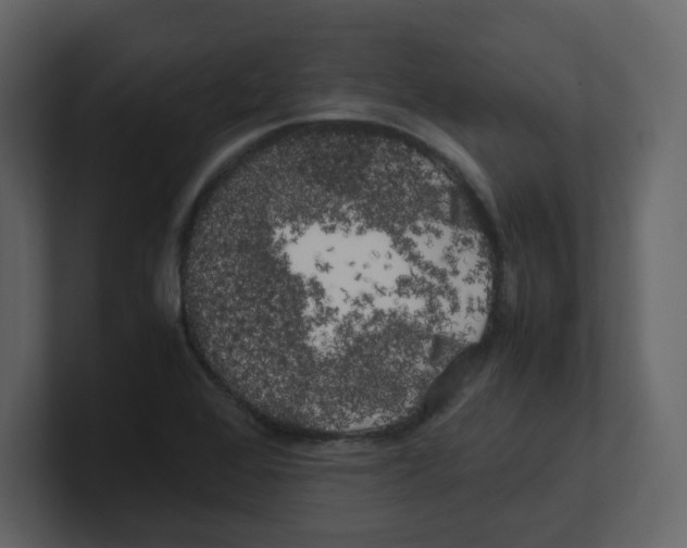 X0000100491368200807111113