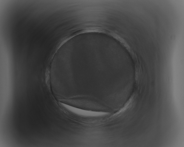 X0000100491369200807111113