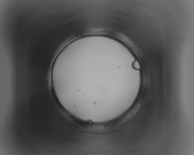 X0000100491370200807111113