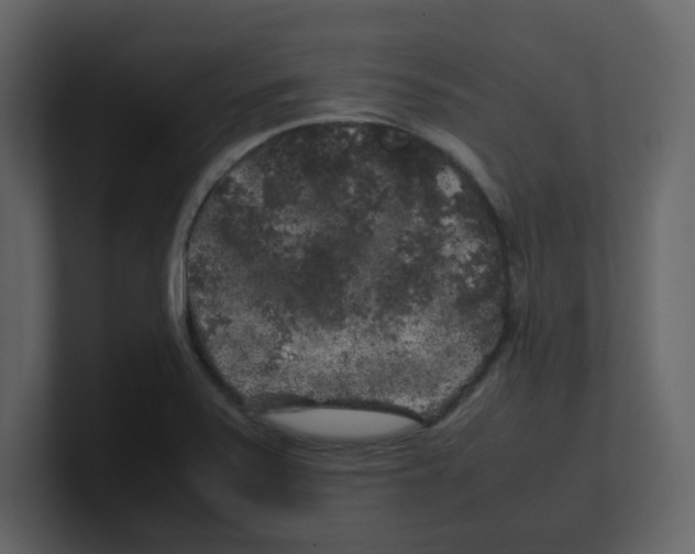 X0000100491371200807111113