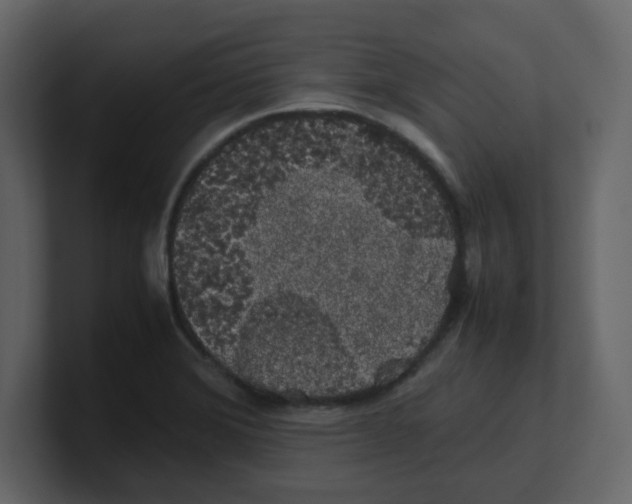 X0000100491372200807111113