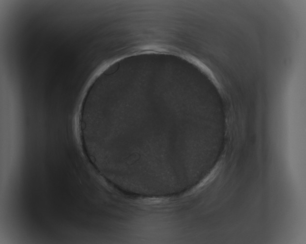 X0000100491373200807111113