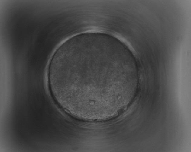 X0000100491375200807111113