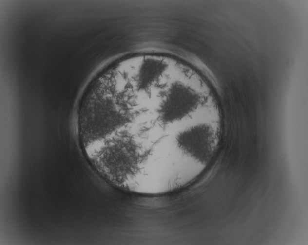 X0000100491376200807111113