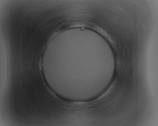 X0000100491377200807111113